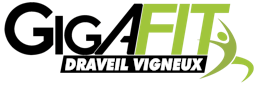 Logo Gigafit